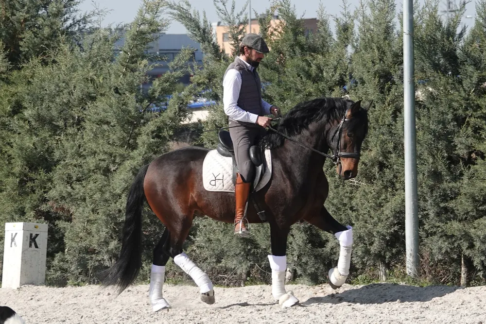 Roberto Armendáriz trabajando un caballo joven