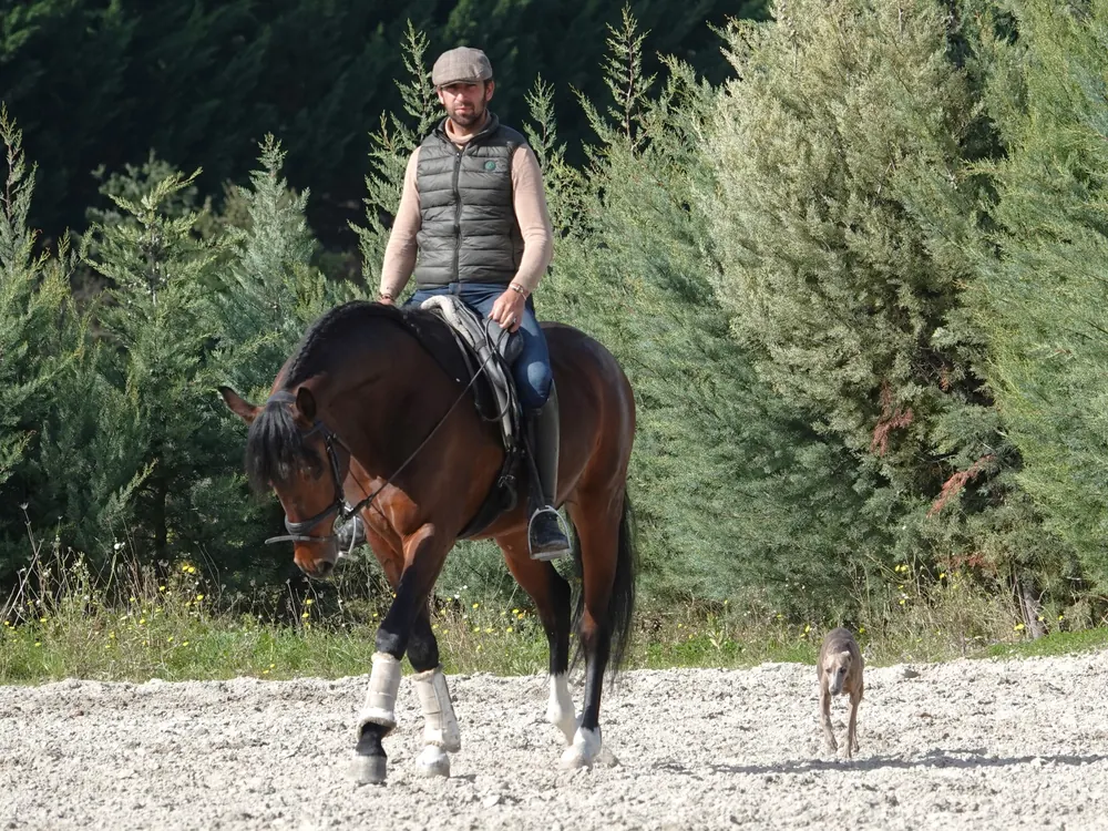 Roberto Armendáriz trabajando con un caballo joven
